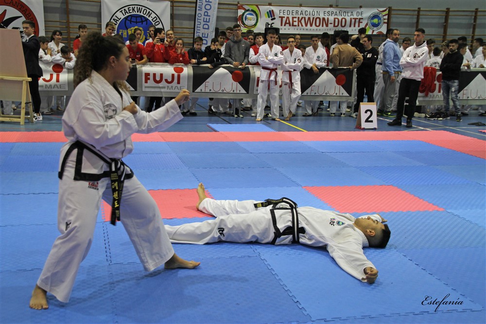 Copa Seul 2018 (354).jpg